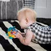 OBALL Autó és csörgő, 2in1 Curious Car, teknős, Neptune™, 3 hó+