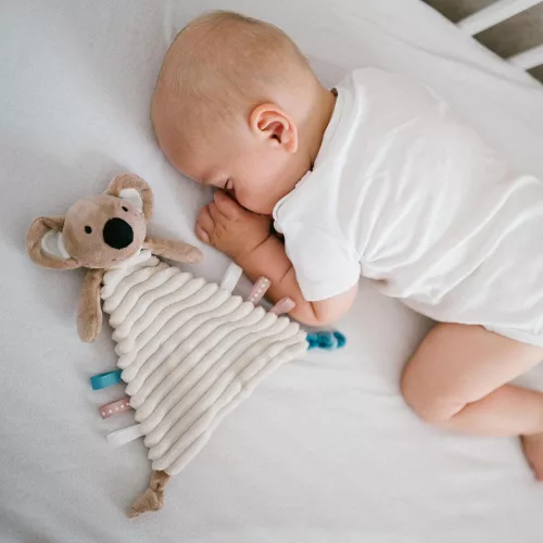 BabyOno plüss szundikendő - Charlie koala 1559