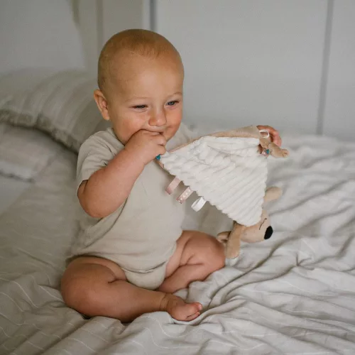 BabyOno plüss szundikendő - Charlie koala 1559